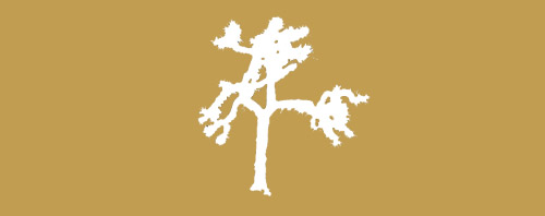 The Joshua Tree Tour